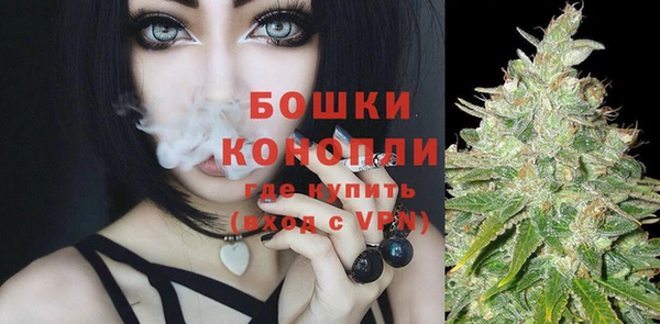 дурь Белоозёрский