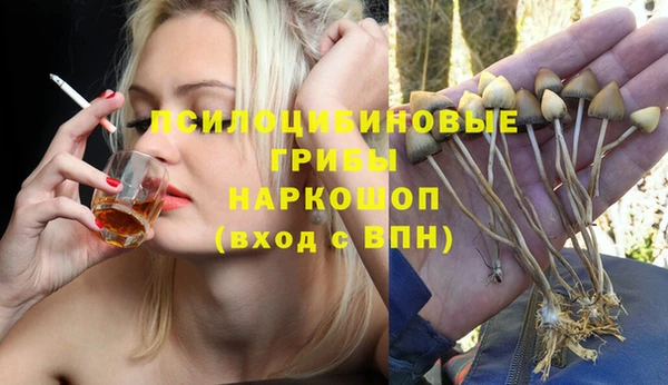 mdma Белокуриха