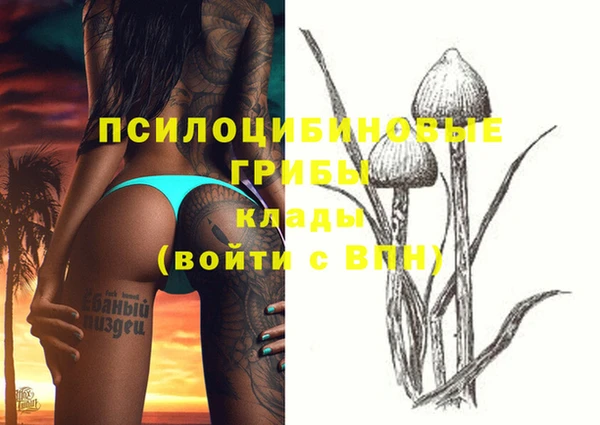 дурь Белоозёрский