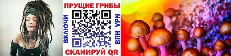 Галлюциногенные грибы мухоморы  Кстово 