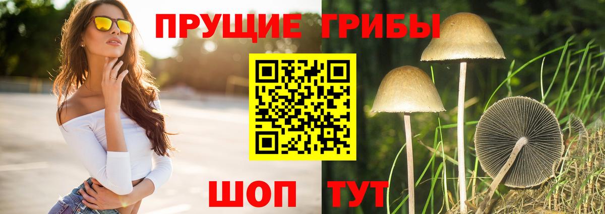 Кстово  Псилоцибиновые грибы прущие грибы  Вход с VPN 